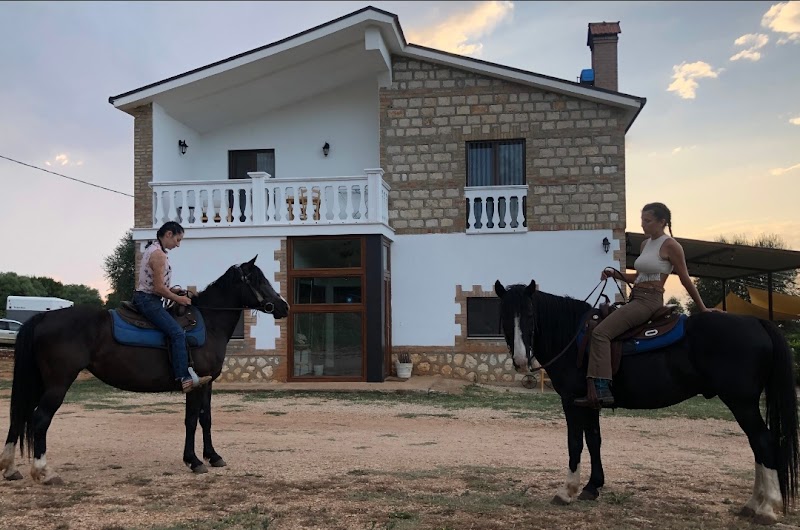 Gio Horses B&B in Sannicandro Garganico, Italy