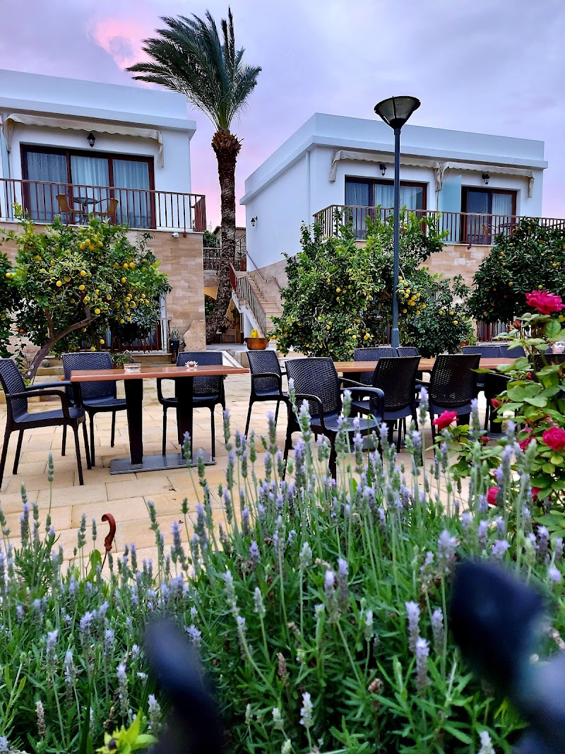 Golden Palms Guest House & Cafe in Famagusta, Cyprus