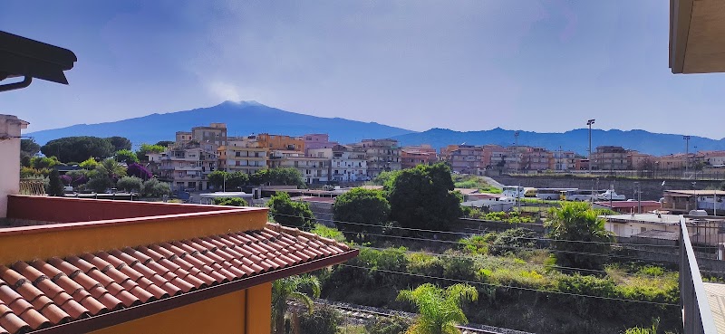 Hippocampus in Giardini, Italy