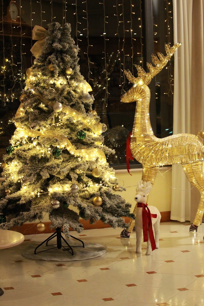 Hotel San Clemente in Sant'Arcangelo di Romagna, Italy
