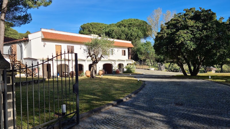 Hotel Sirio in Boscotrecase, Italy