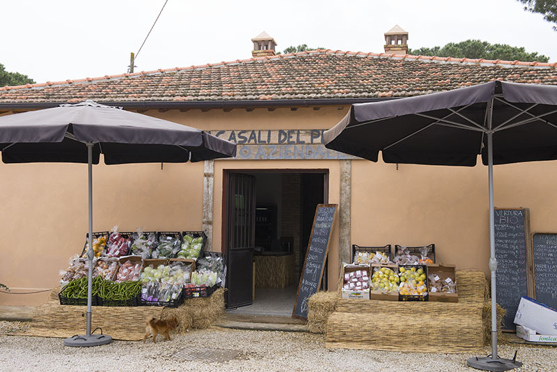 I Casali del Pino in Castelnuovo di Porto, Italy