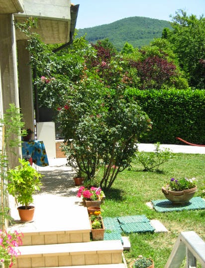 I Fiori in San Giustino, Italy