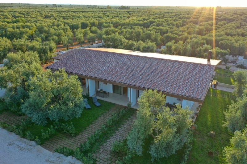 I Secolari in Sannicandro di Bari, Italy