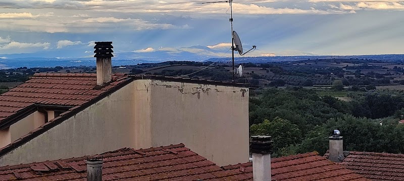 I Tulipani Olandesi in Montefiascone, Italy