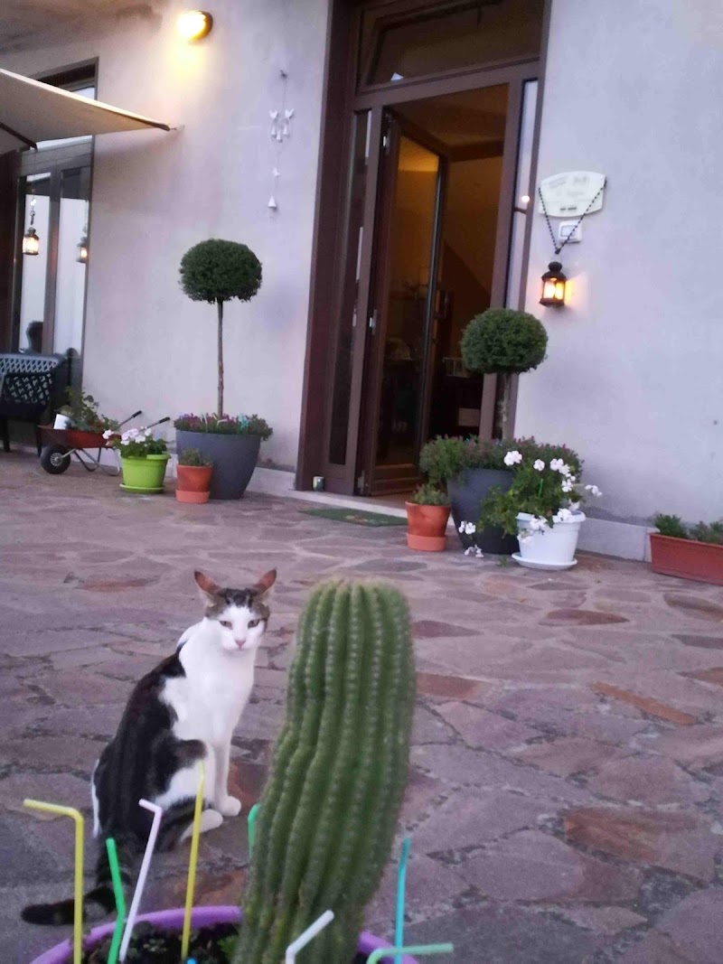 Il Faggio 17 in Artena, Italy