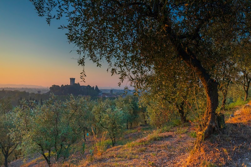 Il Frantoio di Vicopisano in Vicopisano, Italy
