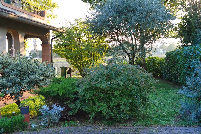 Il Sole in Forli, Italy