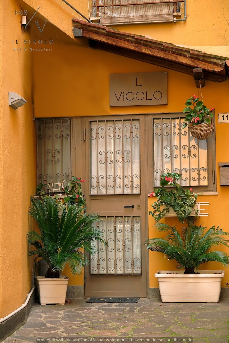 Il Vicolo in Trevignano, Italy