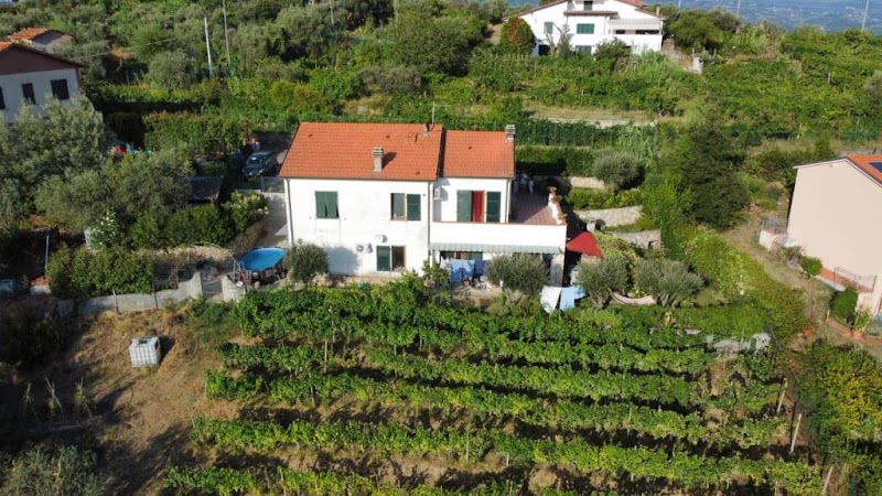 In Vino Veritas in Arcola, Italy