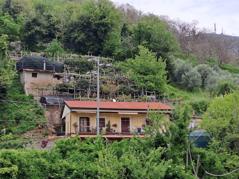 La Cantina del Casale in Civita Castellana, Italy