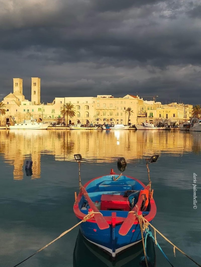 La Casa nel Vico in Molfetta, Italy