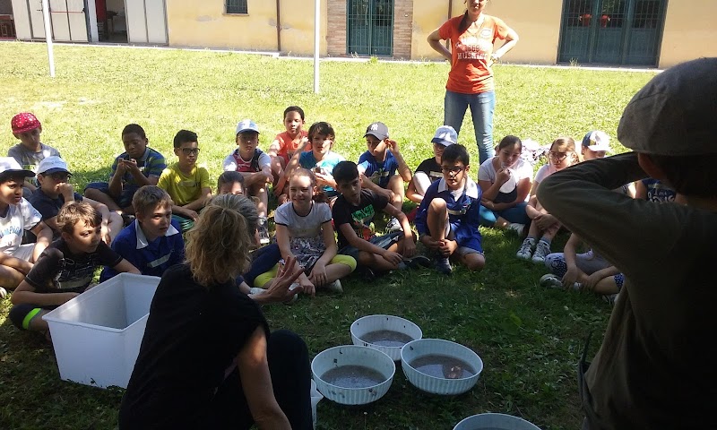 La Casa sull’Albero in Montemarciano, Italy