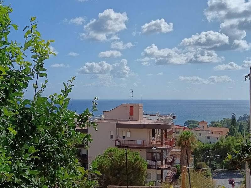 La Cycas in Trabia, Italy