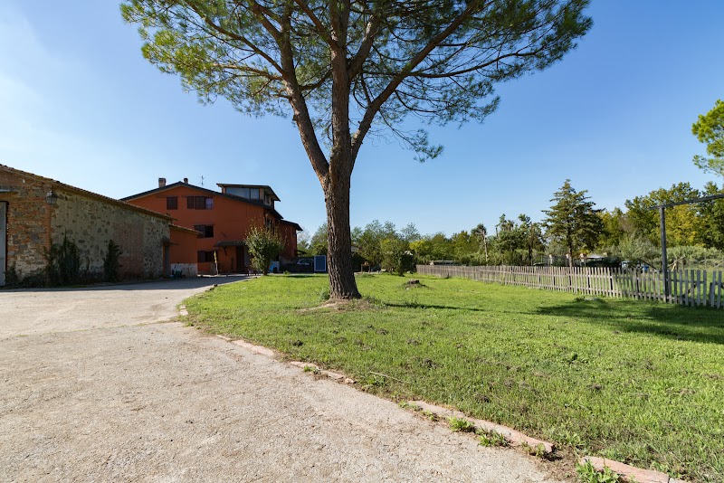 La Drosera in Fucecchio, Italy