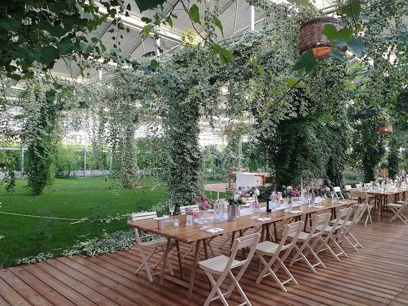 La Fragola de Bosch in Gambettola, Italy