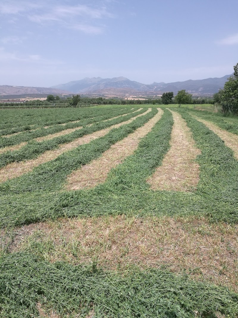 La Stazione in Cassano al Ionio, Italy