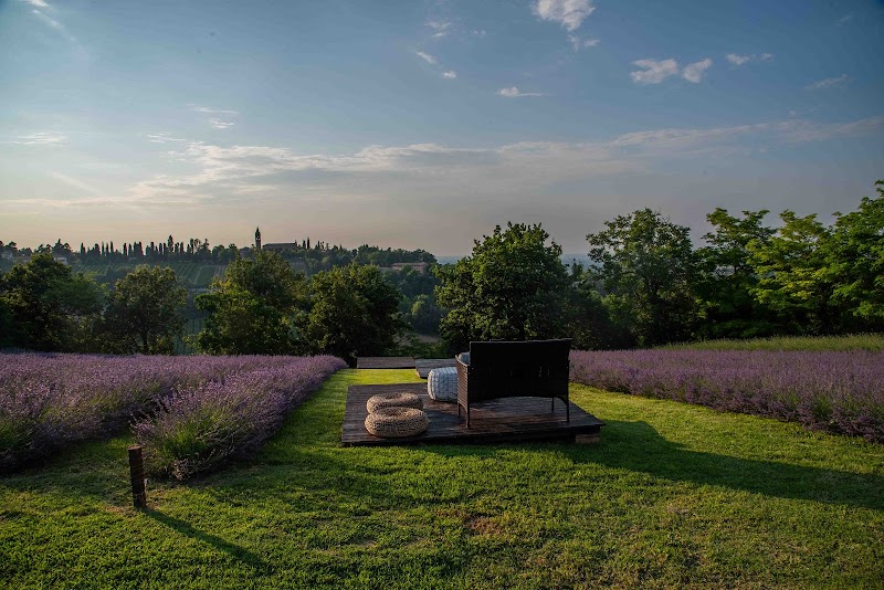 Lavandeto Antico Casale in Albinea, Italy