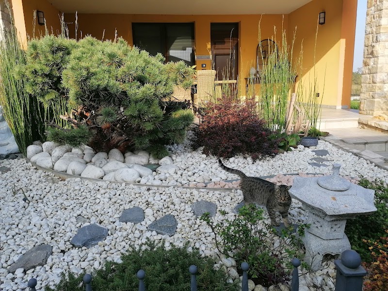 Le Chat Noir in Manerbio, Italy