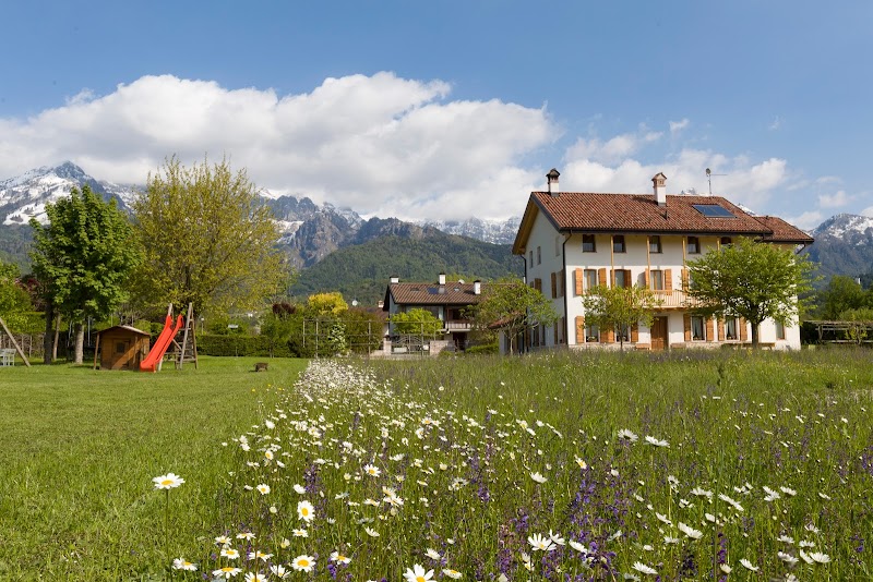 Lioelara in Feltre, Italy