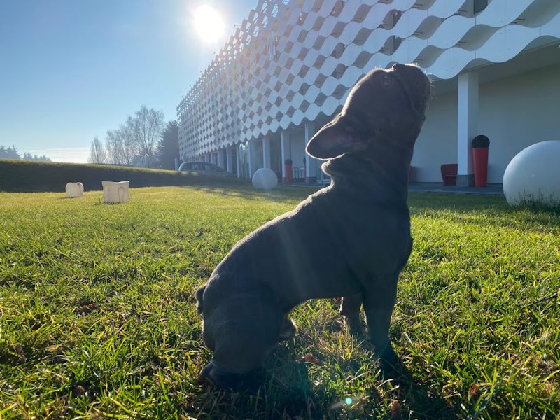 MO.OM Hotel in Olgiate Olona, Italy