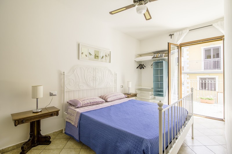 Magnolia in Silvi Paese, Italy