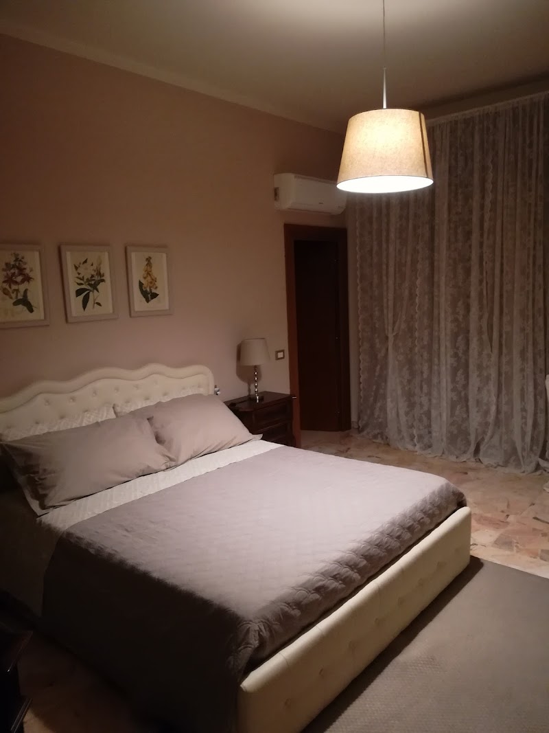 Magnolia in Fucecchio, Italy