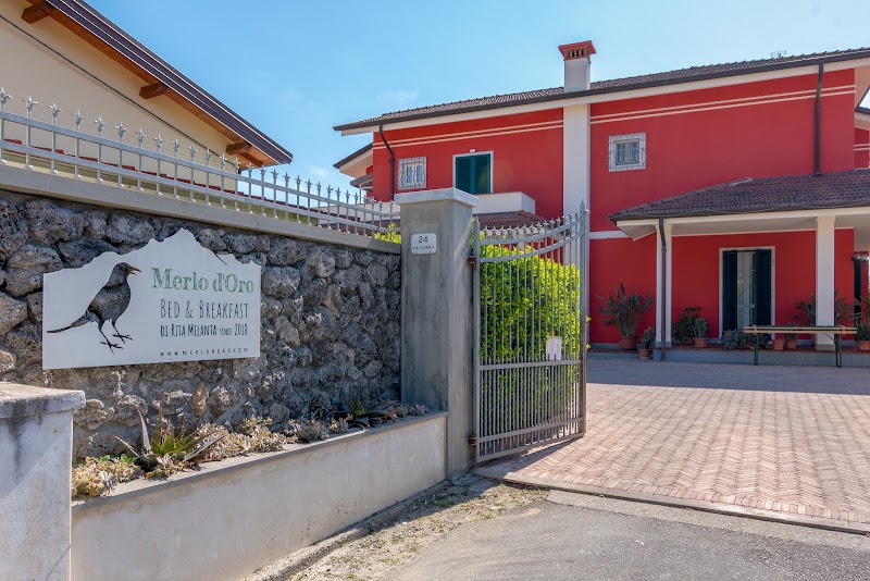Merlo d'Oro in Carrara, Italy