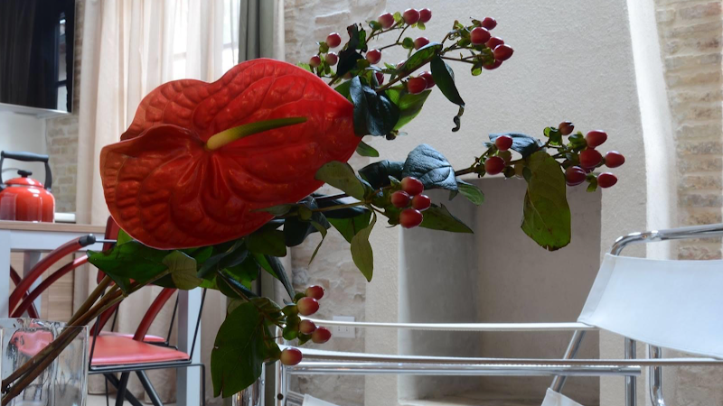 Mezzobaiocco in San Severino Marche, Italy