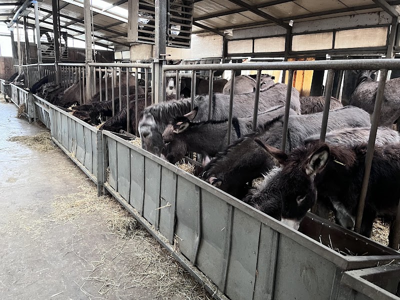 Montebaducco in Quattro Castella, Italy