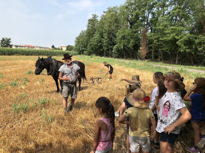 Murnee Agriturismo Culturale e Didattico in Busto Garolfo, Italy