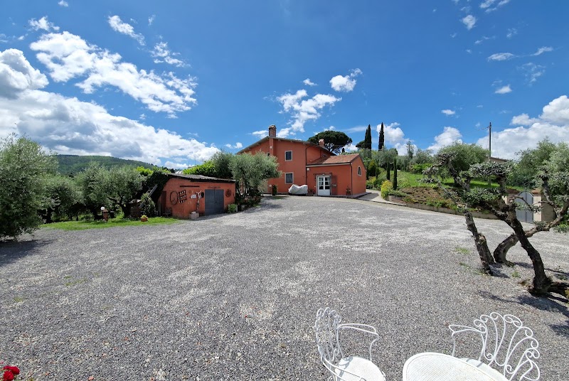 Olivia in Pistoia, Italy