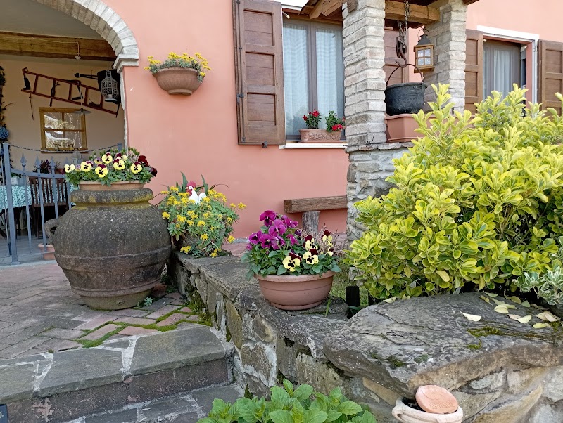 Olmo Antico in Quattro Castella, Italy