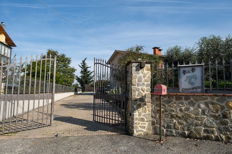 Orso Bigio in Quarrata, Italy