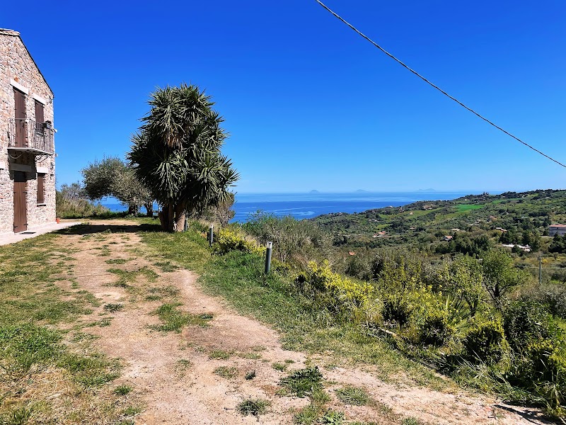 Orto Raccolto in Termini Imerese, Italy