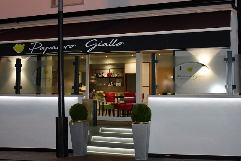 Papavero Giallo in Isola Capo Rizzuto, Italy