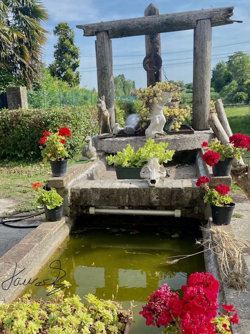 Pegaso (Agriturismo) in Albignasego, Italy