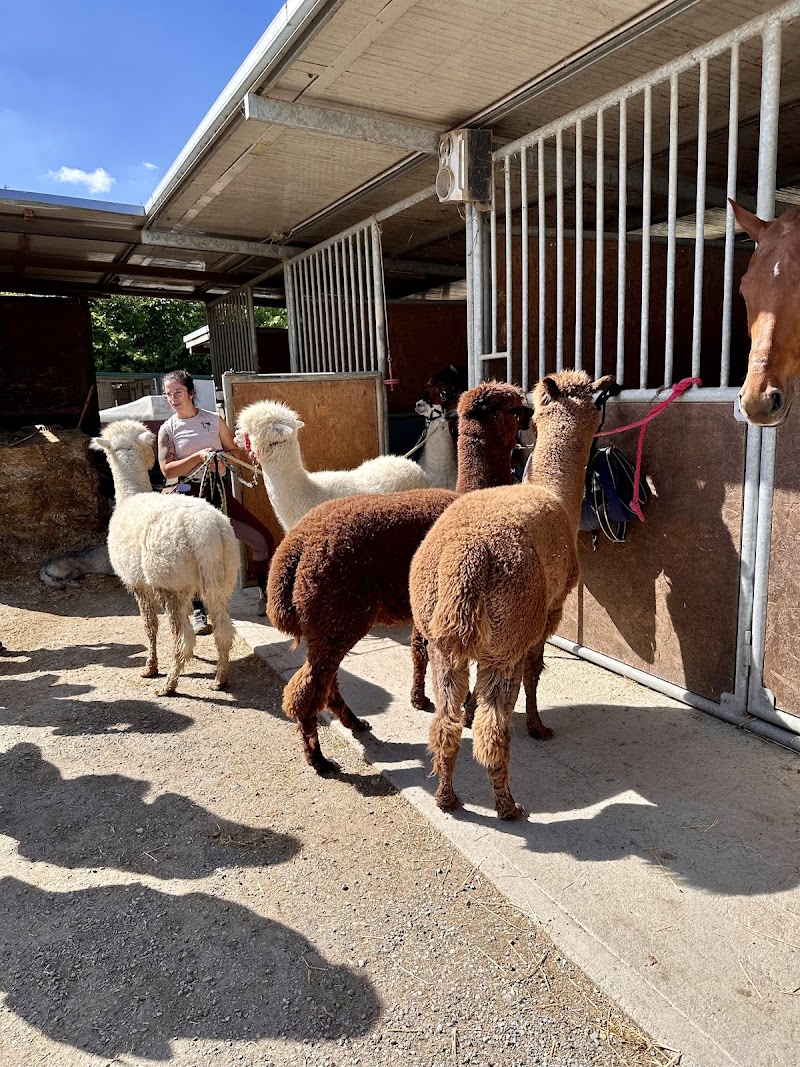 Pirola Music Ranch Guest House in Romano di Lombardia, Italy