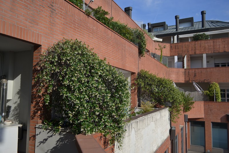 Pisolo in Castelfranco Veneto, Italy