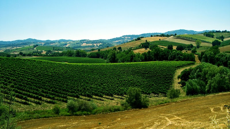 Podere Bianchi in Coriano, Italy