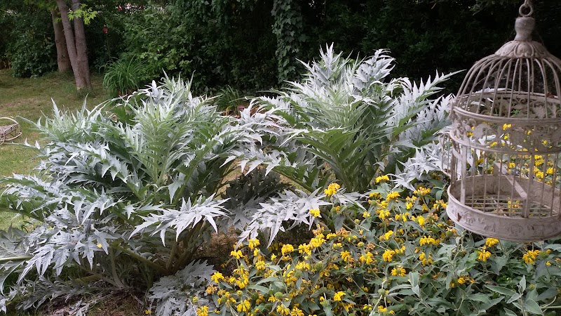 Podere dei Mandorli in Forli, Italy