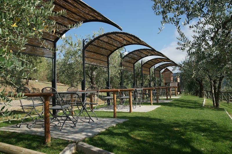 Podere del Griccia - Val di Chiana in Civitella in Val di Chiana, Italy