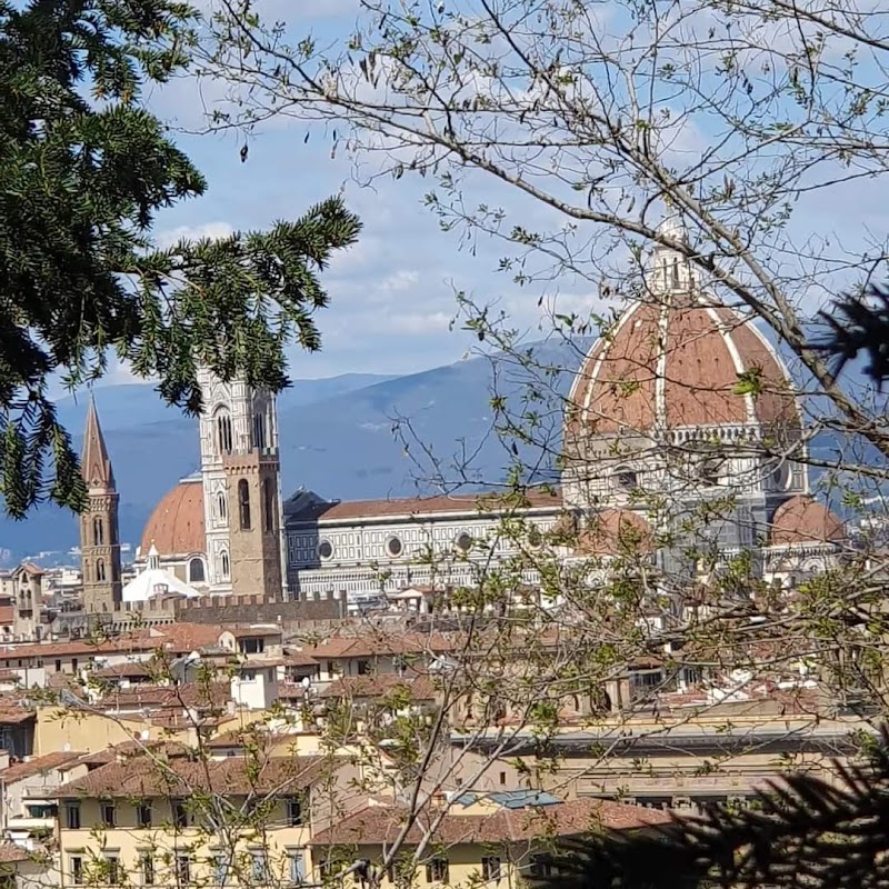 Podere di Sotto in Montelupo Fiorentino, Italy