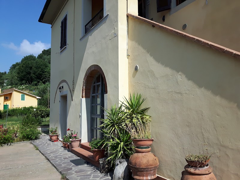 Podere di Valli in Santa Maria a Monte, Italy