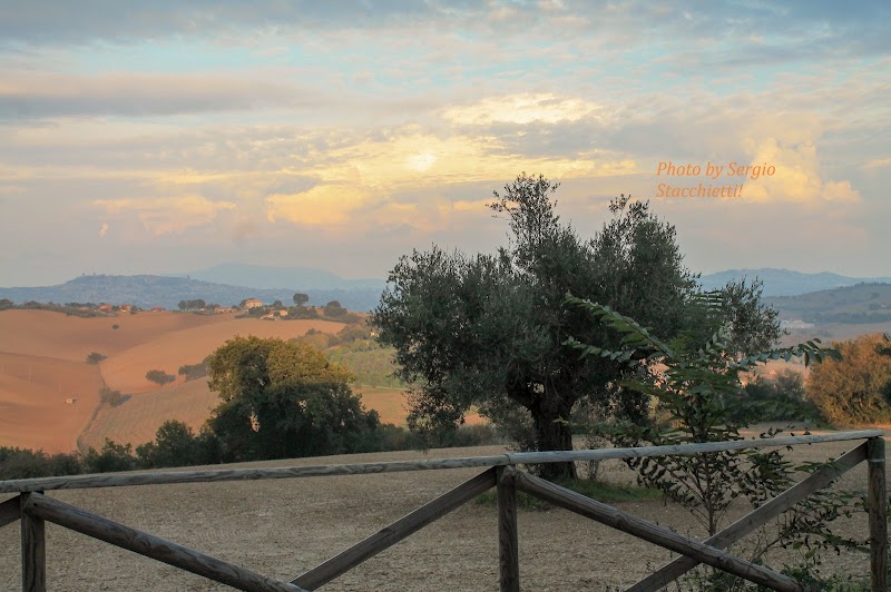 Principerto in Filottrano, Italy