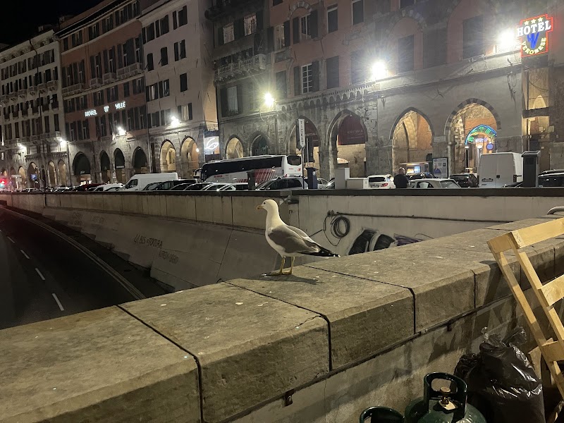 Red and Blues Music Hotel Genova in Genoa, Italy