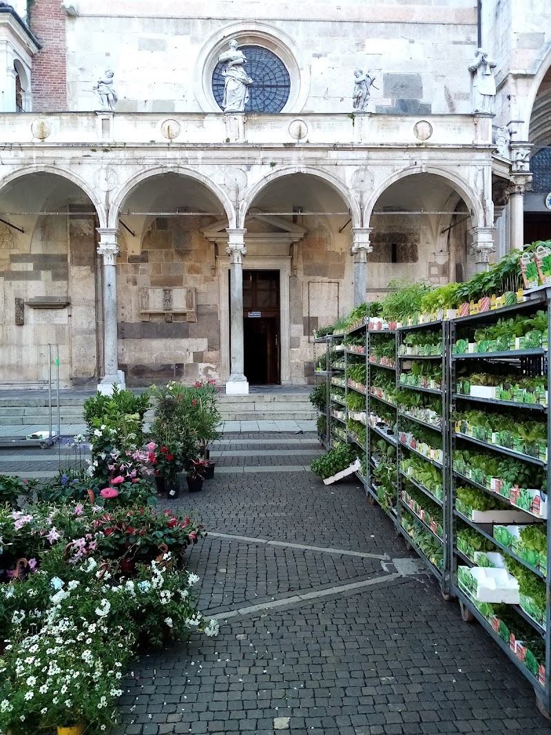 Residence Cremona – My House Apartments in Cremona, Italy