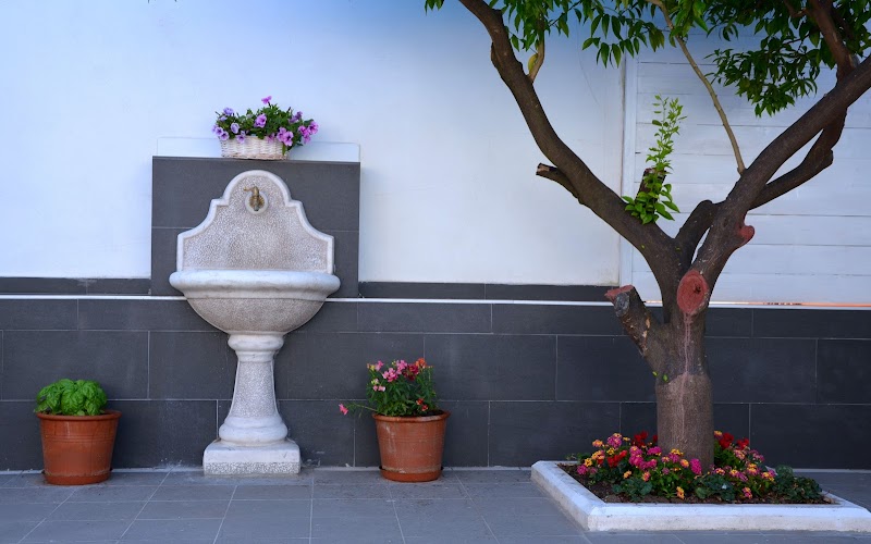 Rosa Vesuviana in Boscoreale, Italy