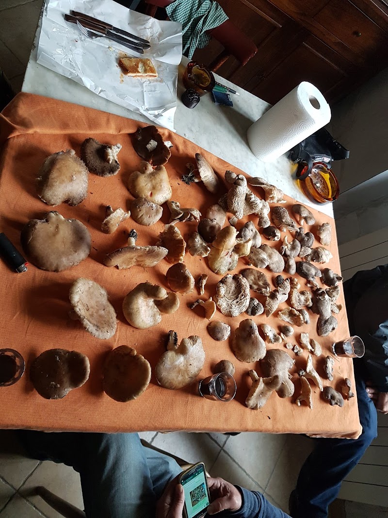 San Fortunato in Tarquinia, Italy