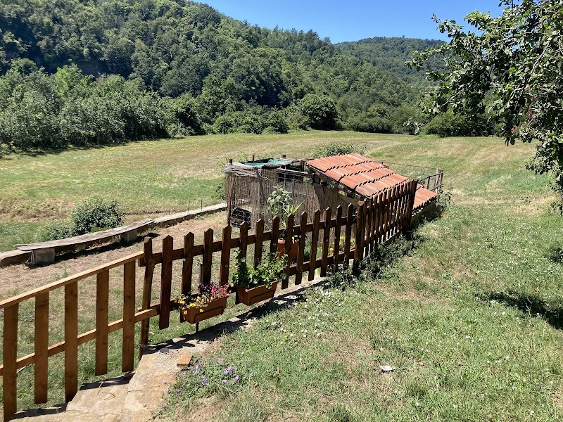 Sant'Anna in Cairo Montenotte, Italy